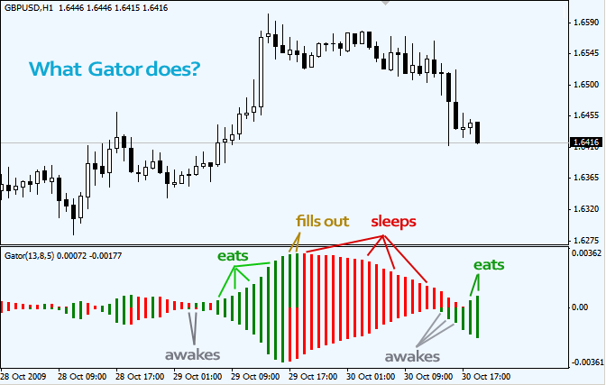 Gator Oscillator Indicator